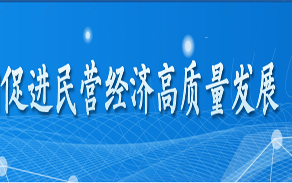 促進(jìn)民營(yíng)經(jīng)濟(jì)高質(zhì)量發(fā)展